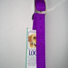 Purple Collar (Med to Large Dog) Free S&H!