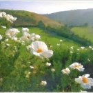 Matilija Poppies - Box of 8 Greeting Cards (5 inch by 7 inch) come with 8 envelopes (blank inside)