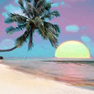 Amazing Sunset in Tropical Paradise - Greeting Cards - box of 8 5-inch by 7-inch cards