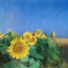 Sunflowers in Tuscany - Oil Painting - quality printed on 8 5-inch by 7-inch greeting cards