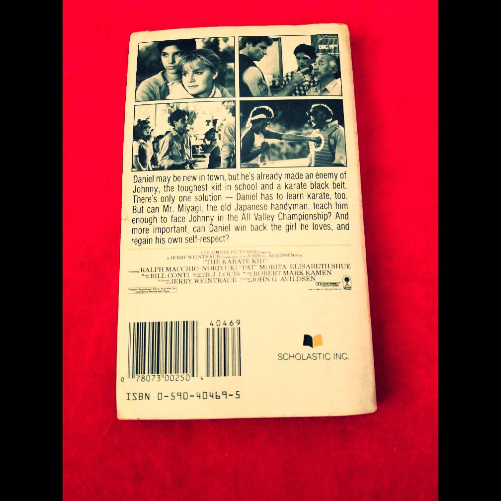 The Karate Kid Novel by B.B. Hiller Vintage Paperback Book 1984