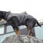 On Sale: (M) High Quality Warm Dog Winter Jacket w/ Fleece Lining, 15.5", Black