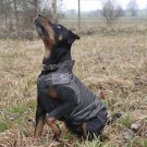 On Sale: (M/L) Dog Rain Jacket / All-Year Jacket, 17.5", Black Water Resistant