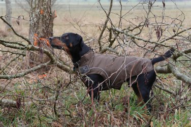 On Sale: (M) Warm Dog Winter Coat w/ Fleece Lining, 15.5", Brown