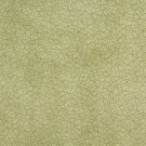 54"" B360 Light Green, Abstract Curls Microfiber Upholstery Fabric By The Yard