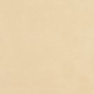 54"" Wide C073 Gold, Microsuede Upholstery Grade Fabric By The Yard
