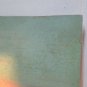 Fred Grayson Sayre  Landscape Litho  Vintage 1960s  Mountains Verbena