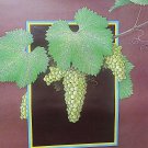 Vintage Washington  1985  Poster Sebastian Pacific Northwest Titus Premium Wines