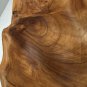 Burled Wood Divided Tray signed JK Large