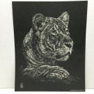 Vintage White on Black Print Tiger 1977 Jane Hill Studio   8 x 10