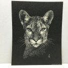 Vintage Black on White Cougar Puma Print 1977 Jane Hill Studio   8 x 10