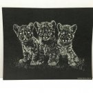 Vintage White on Black Lion Cubs  Print 1977 Jane Hill Studio   8 x 10