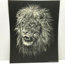 Vintage White on Black Lion Print 1977 Jane Hill Studio   8 x 10