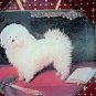 Marye Kelley Bichon Frise Octagonal Decoupage Arcoroc Plate with Hanger Signed