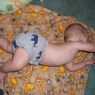 Diaper Cover Large