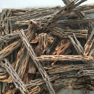 CHOLLA WOOD - 1 LB BOX - Odds & Ends - Unique Cuttings