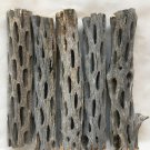 3 THICK 6"L CHOLLA WOOD - Untreated, Organic, Aquarium, Decoration, Crafts, Bird