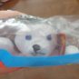 McDonald's Ty Beanie Baby Mini "Nook" New in Bag