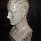 L. N. Fowler Porcelain Phrenology Scientific Head/Bust 18 Inches Tall