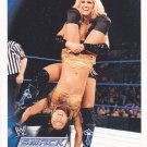 Mechelle McCool #12 - WWE Topps 2010 Sexy Wrestling Trading Card