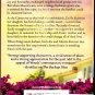 Mending Fences by Sherryl Woods 2007 Paperback Book - Very Good
