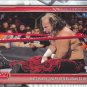 Matt Hardy #16 - WWE 2019 Topps Wrestling Trading Card