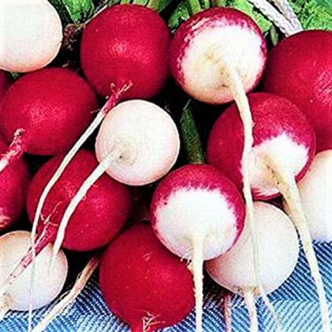 Confetti Mix Radish Seeds - NON-GMO - Vegetable Seeds - BOGO