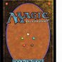 Thunderous Orator -  White - Creature - Magic the Gathering Uncommon Foil Trading Card