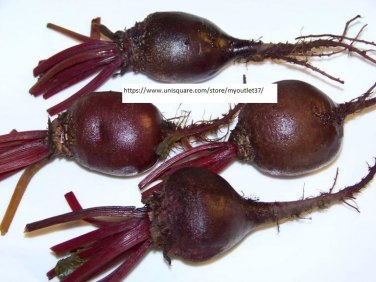 Dark Red Beet Seeds - Vegetable Seeds - BOGO