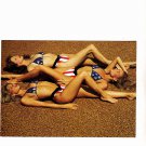 Stars and Stripes #1 - Illustrated 1994 Sexy Trading Card