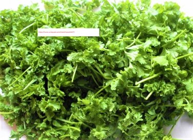 Curled Cress Seeds - Vegetable Seeds - BOGO