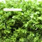 Curled Cress Seeds - Vegetable Seeds - BOGO