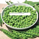 Little Marvel Pea Seeds - Vegetable Seeds - BOGO