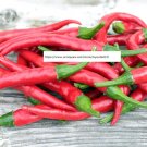 Cayenne Pepper Seeds - Vegetable Seeds - BOGO