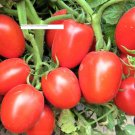 Rio Grande Tomato Seeds - Vegetable Seeds - BOGO