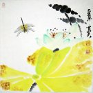 Original of Chinese Painting----lotus (3)----- 35 X 35cm ---- Including Shipping