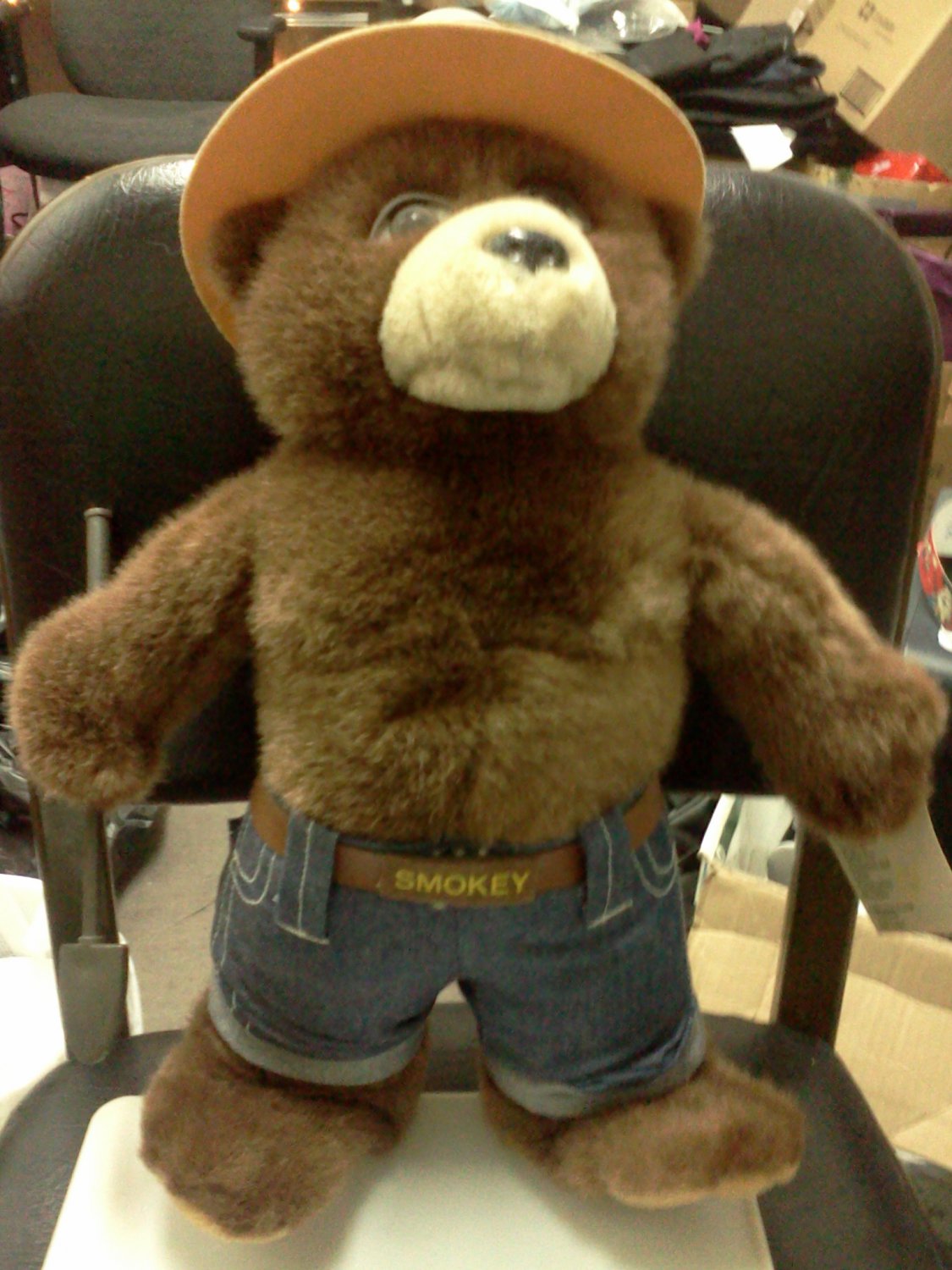 Smokey the Bear
