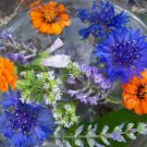 Organic "Blushing Blooms" - Flower Facial Steam 1 Ounce