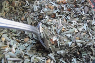 Organic Olive, Orange Mint "Dew Dew" Day Time Tonic Tea - Olive Leaf