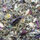 Organic "Good Vibes " Olive Leaf Tea Formula - Boosting Brew!