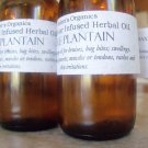 Organic Solar Infused PLANTAIN Seed - Drawing Agent & MORE!