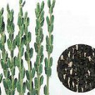 Organic Black Sesame Seed* Ayurvedic Acne Control!