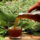 Organic Dandelion & Burdock SEED ONLY Root Beer Combination
