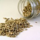 Organic FENNEL Seeds  1oz   Great Digest AID!