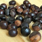 Organic GUARANA Seed - Strengthens the heart!