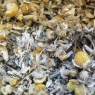 Organic 1 Ounce Blessed Belly Tea - Sick Stomachs.