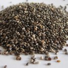 Organic CHIA & FLAX POWER BLEND - Super Food 1 ounce