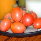 Organic Porter Tomato Seed- HEAT TOLERANT!