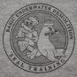 Men's Basic Underwater Demolition Seal Training T-Shirt Gray size L Navy Seals