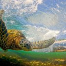 Authentic CLARK LITTLE photography Sea Turtle Hawaii surf art Giclee FLYING HONU